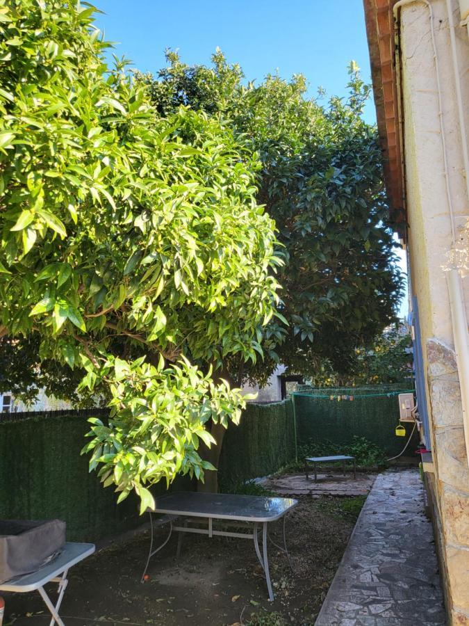 شقة كولِيورْ  في Clementine المظهر الخارجي الصورة